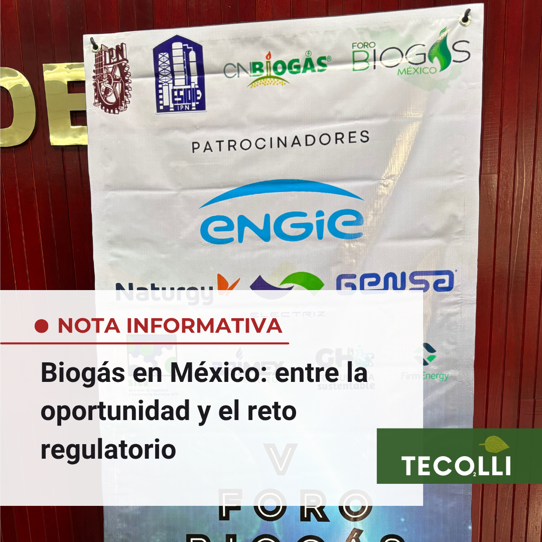 imagen-noticia