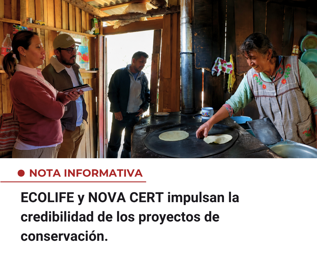 imagen-noticia