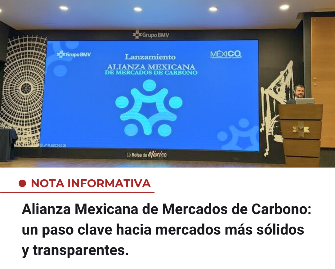 imagen-noticia