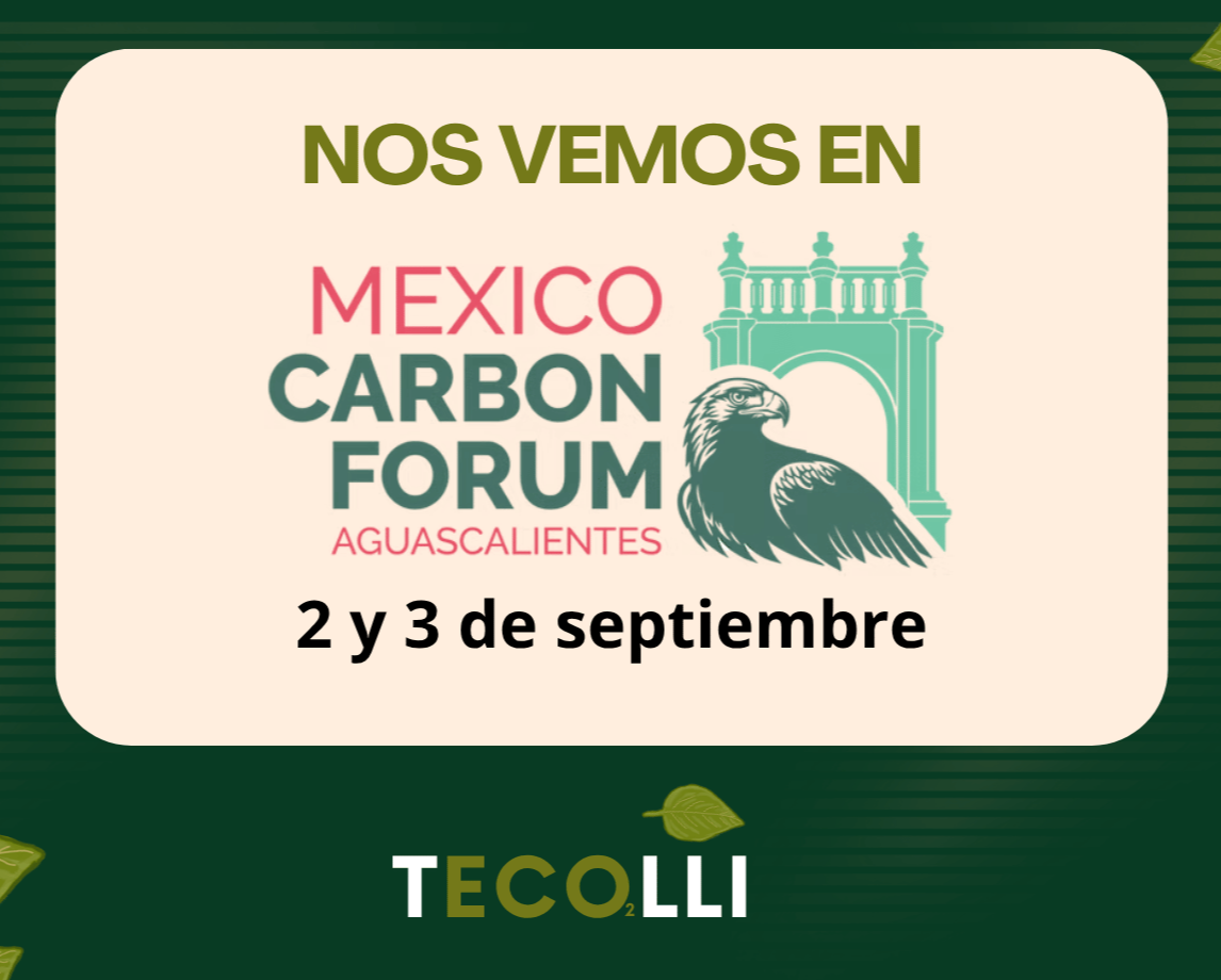 imagen-noticia