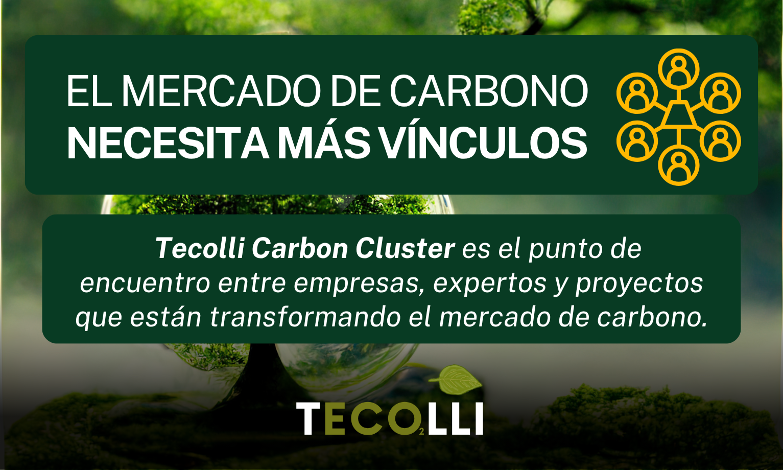 El Mercado de Carbono necesita