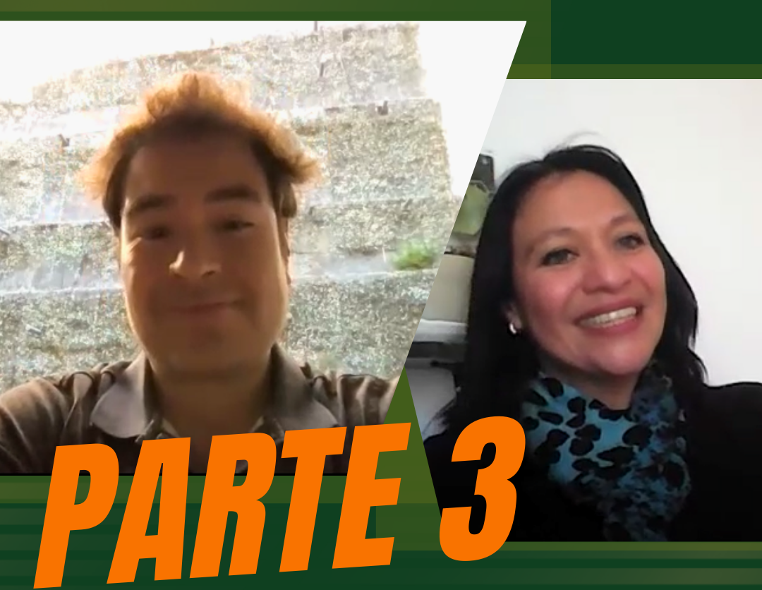 imagen-webinar