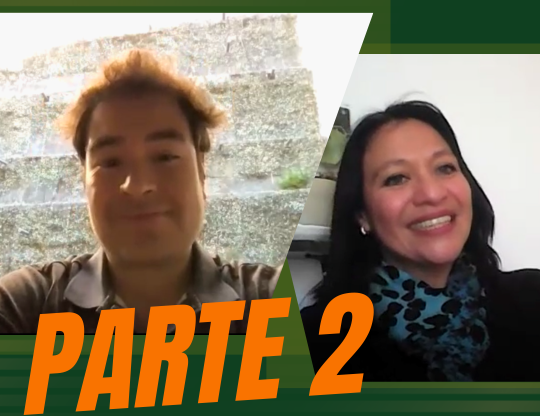 imagen-webinar
